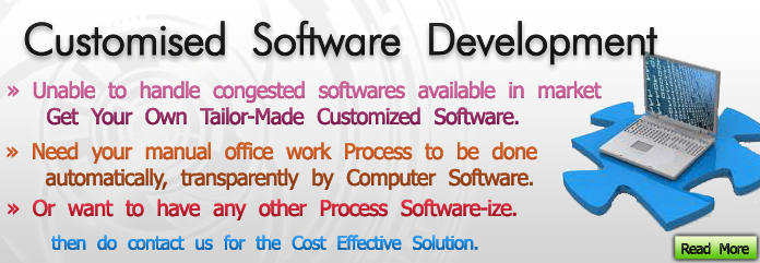 customize software development